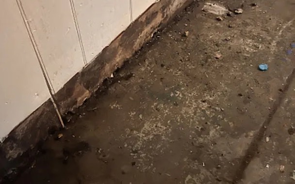 Biohazard and Trauma Cleanup in Springdale, AR